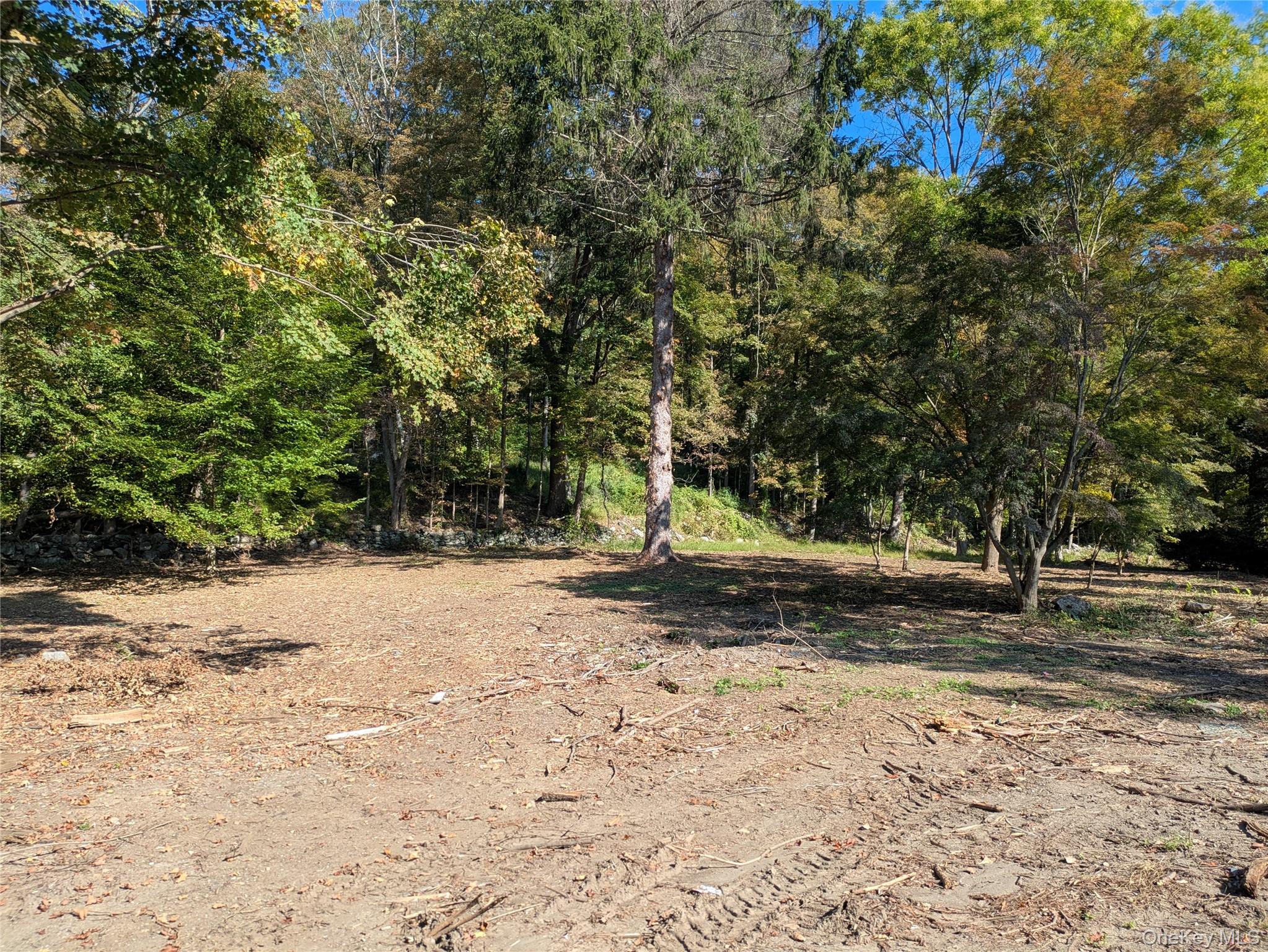 54 Reed Road Croton Falls, NY 10560 - Photo 2 of 4 View of undeveloped land