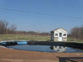 2104 East Rauch Road Erie, MI 48133 - Photo 8 of 19 Pool & Shed