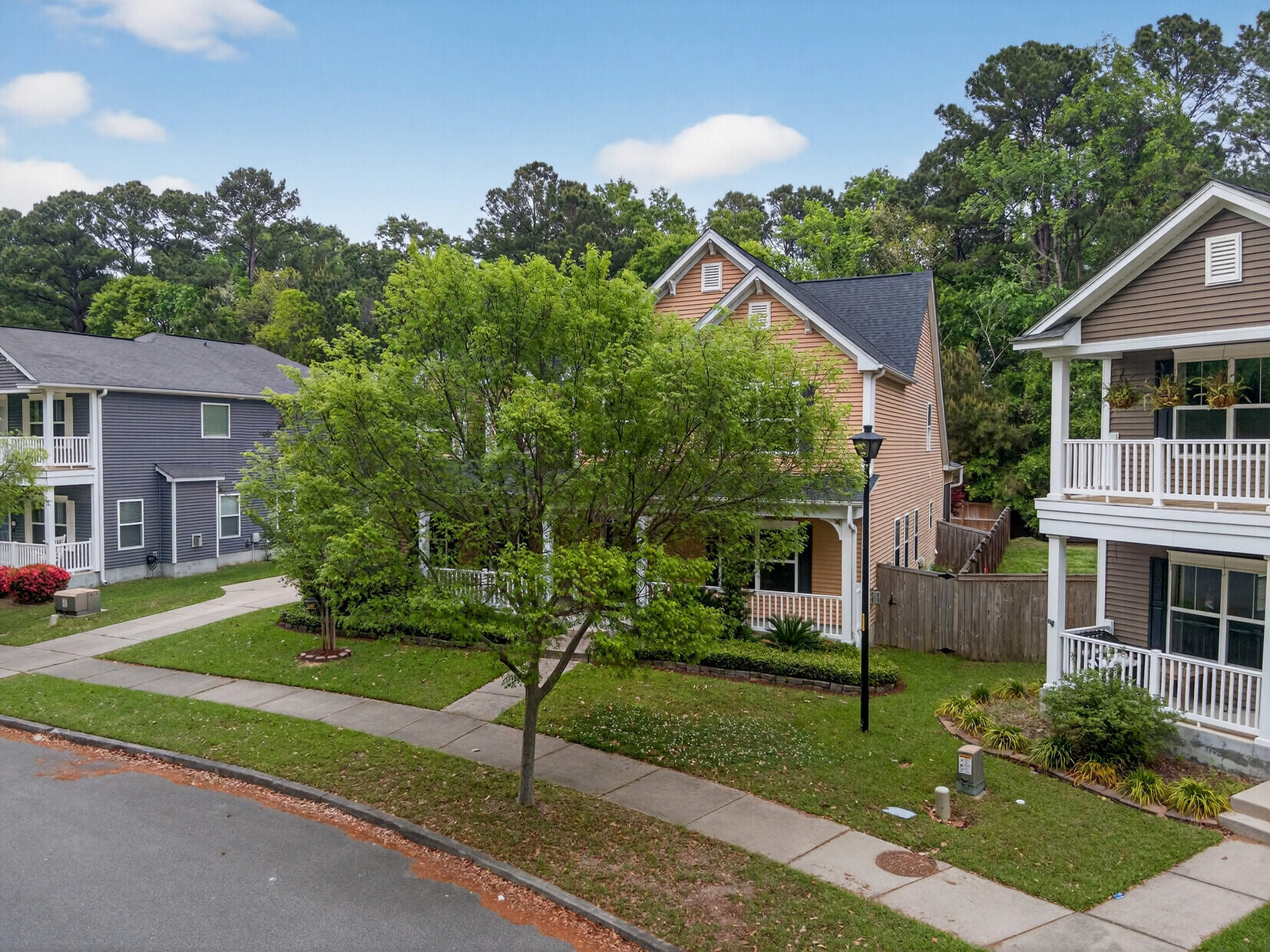 1244 Segar Street Johns Island, SC 29455 - Photo 4 of 54 Streetscape View