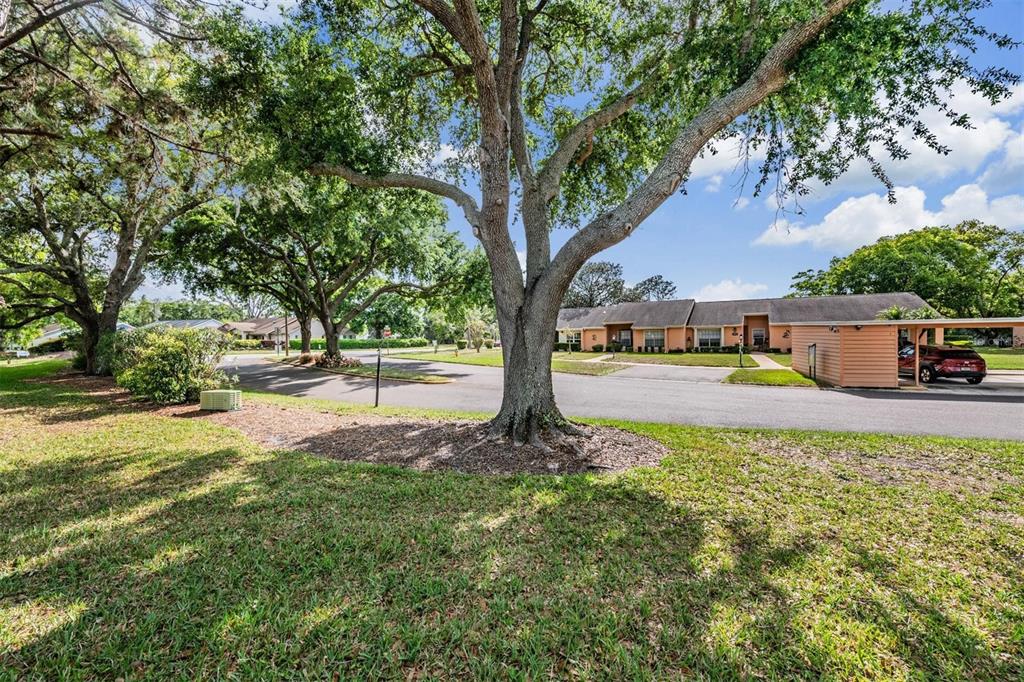 9302 Trowbridge Court New Port Richey, FL 34655 - Photo 30 of 41 a view of a house with garden and sitting area