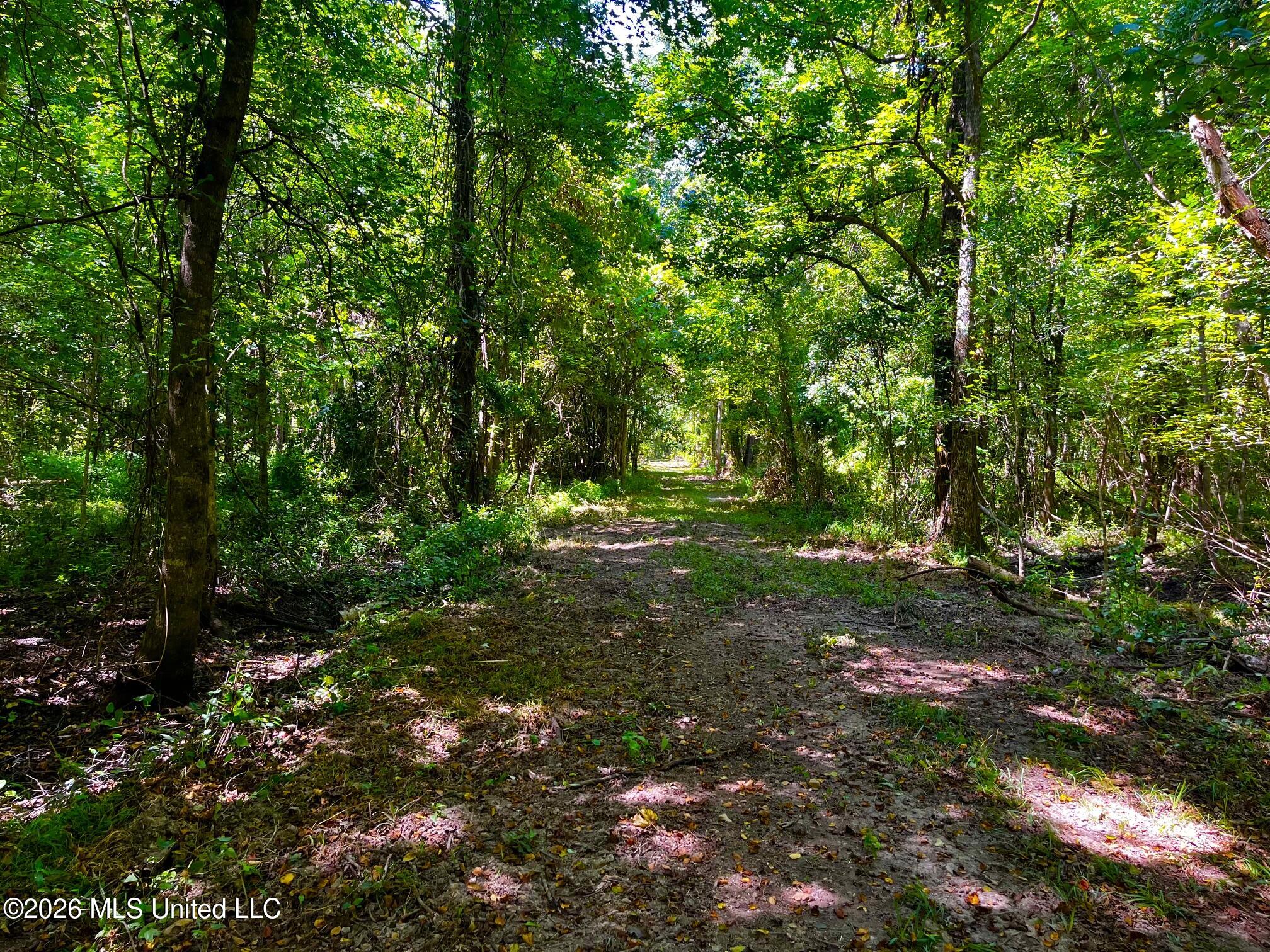 Perrytown Road Crosby, MS 39633 - Photo 6 of 32 s8