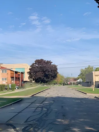 a big yard with lots of green space and fog