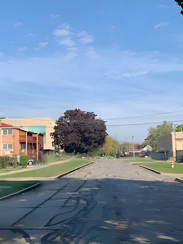 a big yard with lots of green space and fog