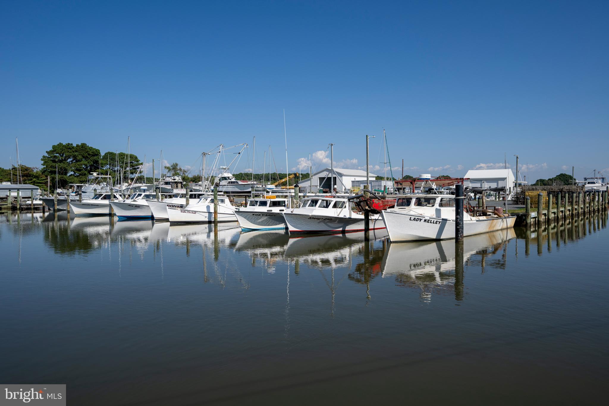 10482 Cassandra Drive Chance, MD 21821 - Photo 30 of 91 a view of a lake with boats and trees