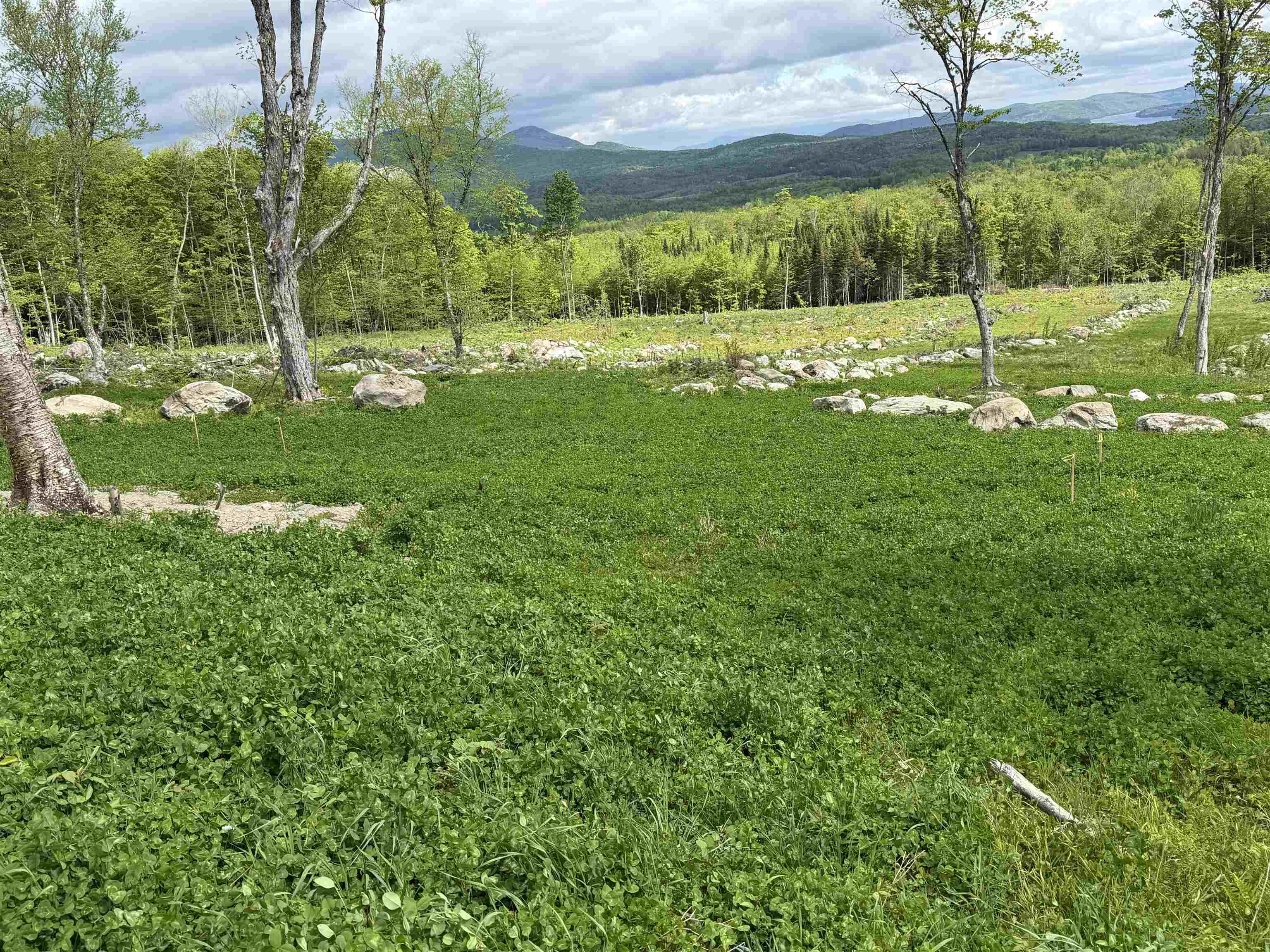 842 Gibbs Road, Unit LOT 1 Newport Town, VT 05857 - Photo 11 of 14
