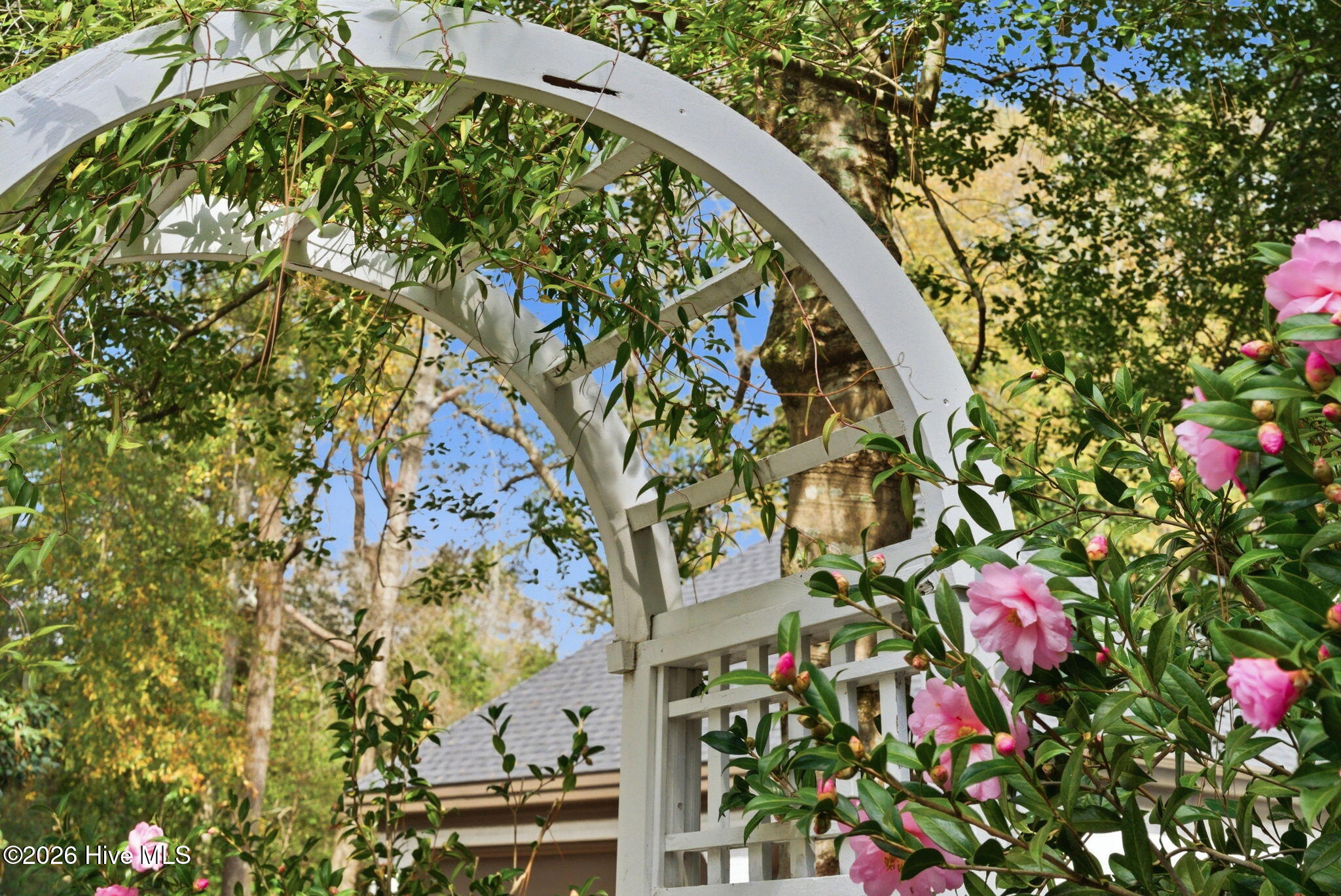 75 Ferguson Road Pinehurst, NC 28374 - Photo 13 of 124 75 Ferguson Road-12