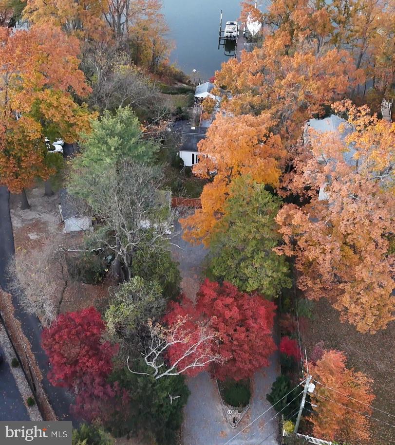 7720 West Shore Road Pasadena, MD 21122 - Photo 6 of 12