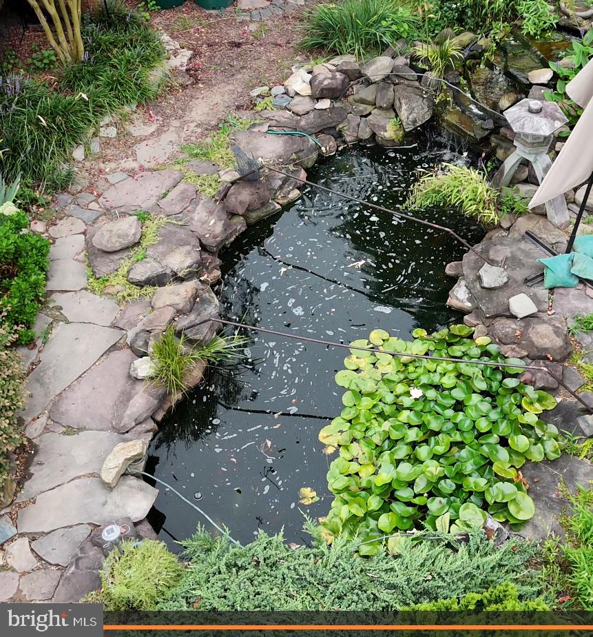 7720 West Shore Road Pasadena, MD 21122 - Photo 10 of 12 a plant with lots of trees