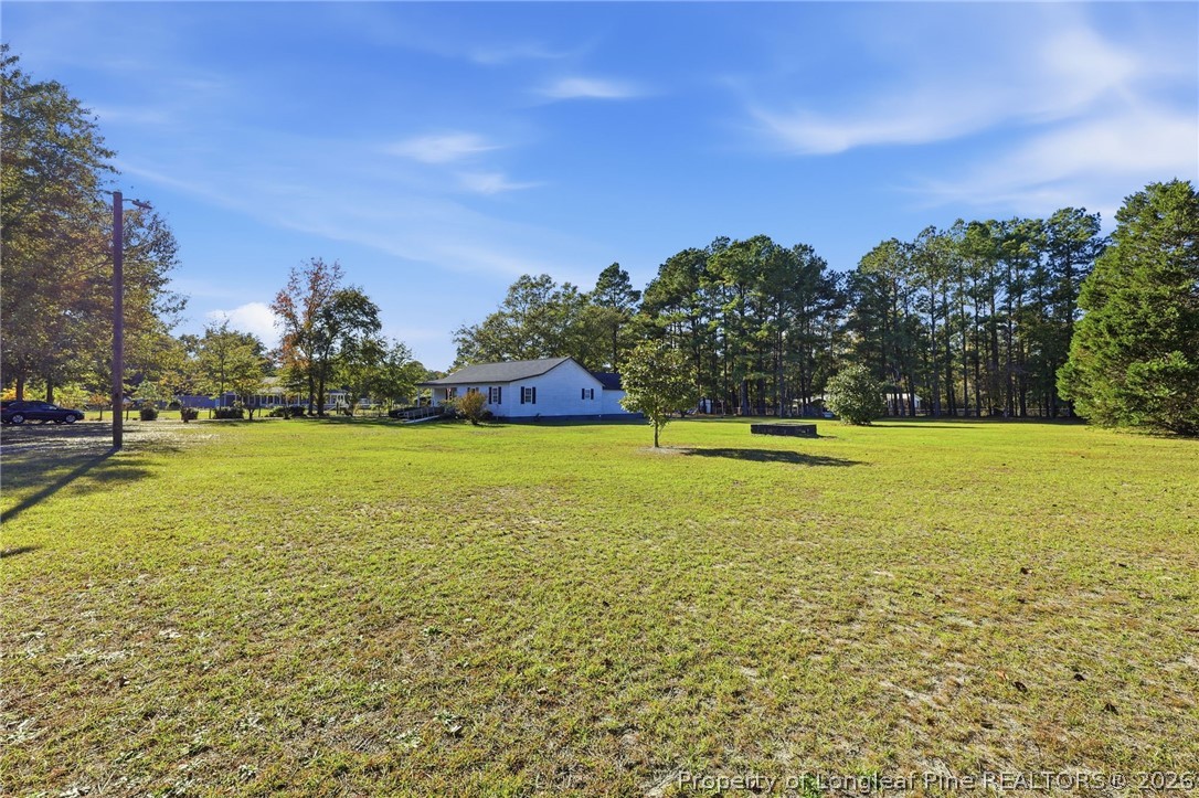 223 Broadwell Road St. Pauls, NC 28384 - Photo 28 of 28 a view of a field with tree in the background