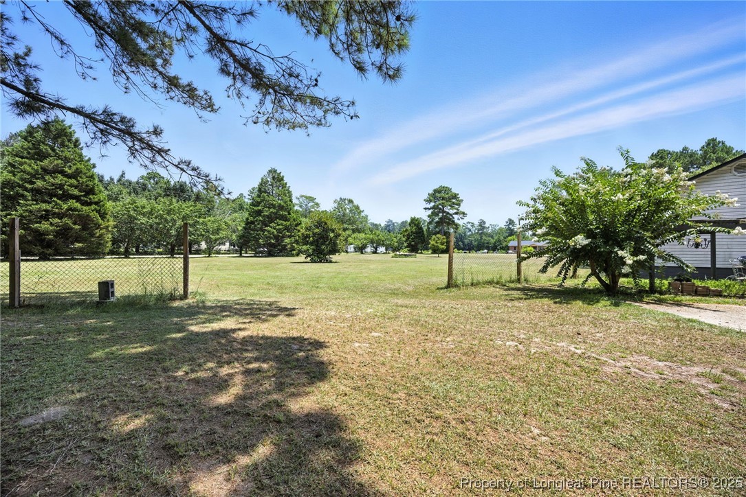 223 Broadwell Road St. Pauls, NC 28384 - Photo 28 of 28 a view of a field with trees in the background