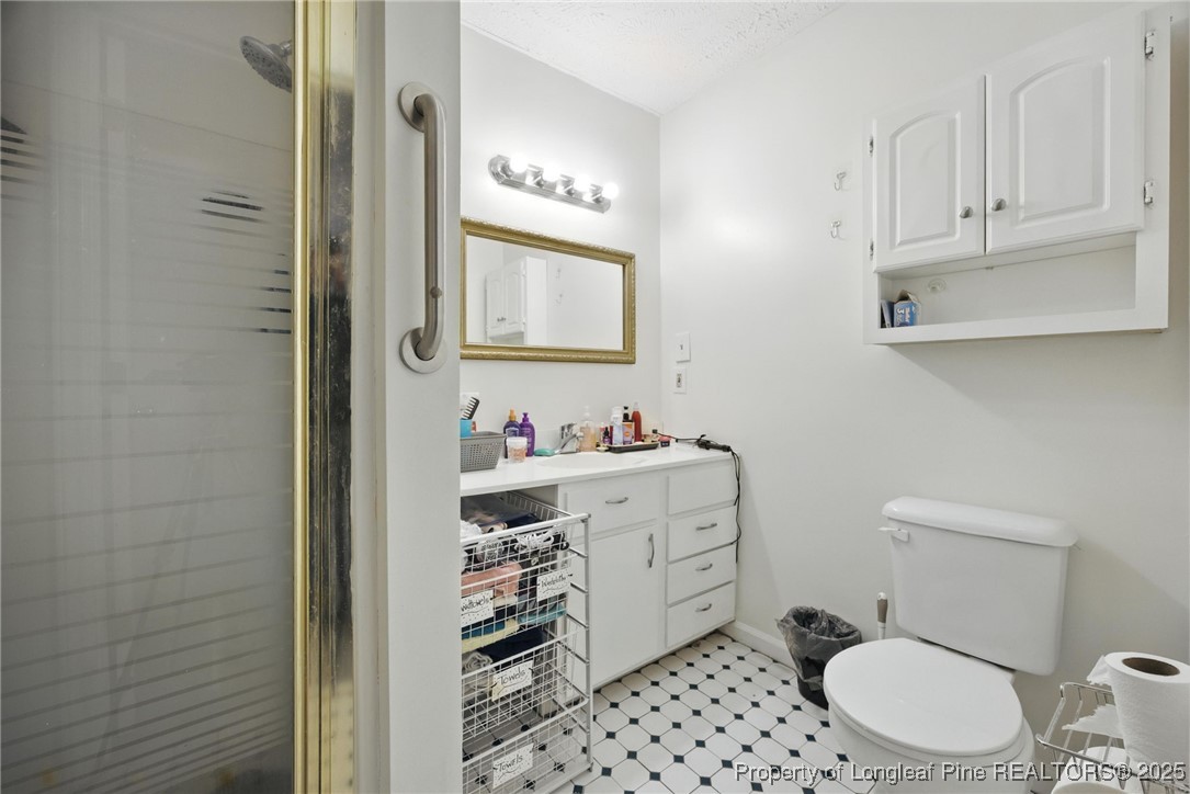223 Broadwell Road St. Pauls, NC 28384 - Photo 10 of 28 a bathroom with a toilet a sink and mirror