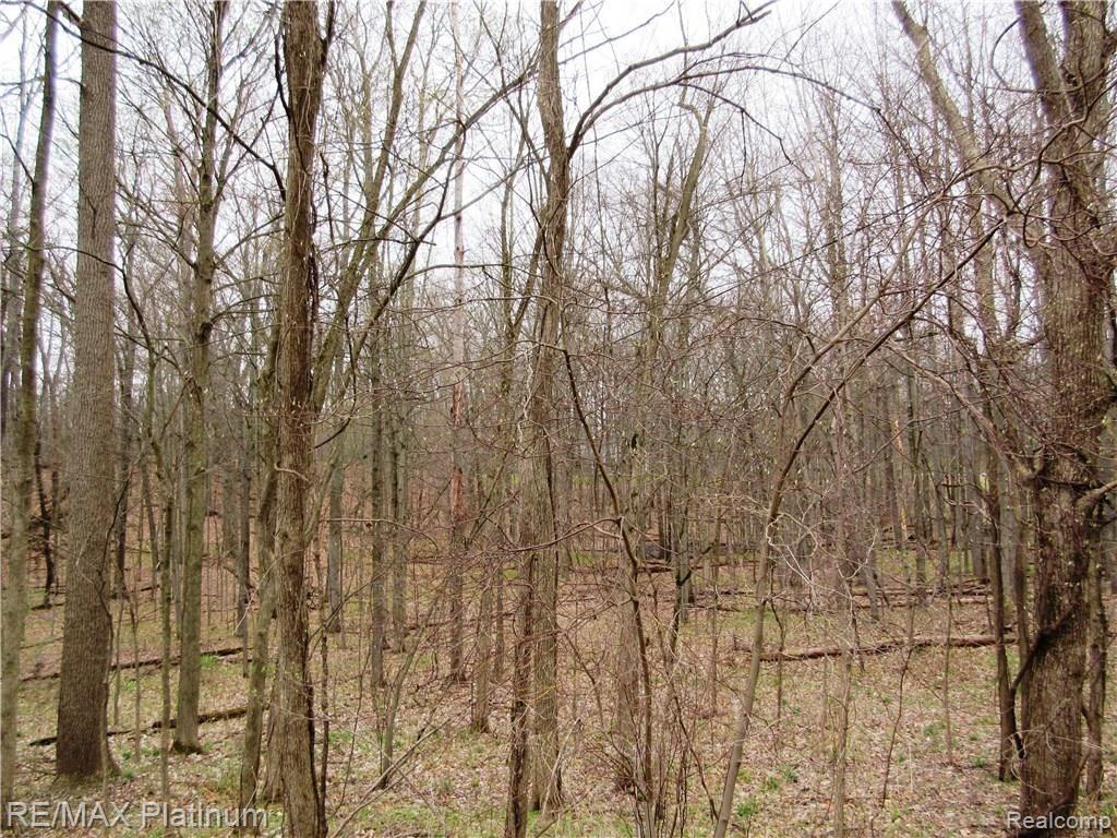 3 Welle Road Brighton, MI 48116 - Photo 8 of 8
