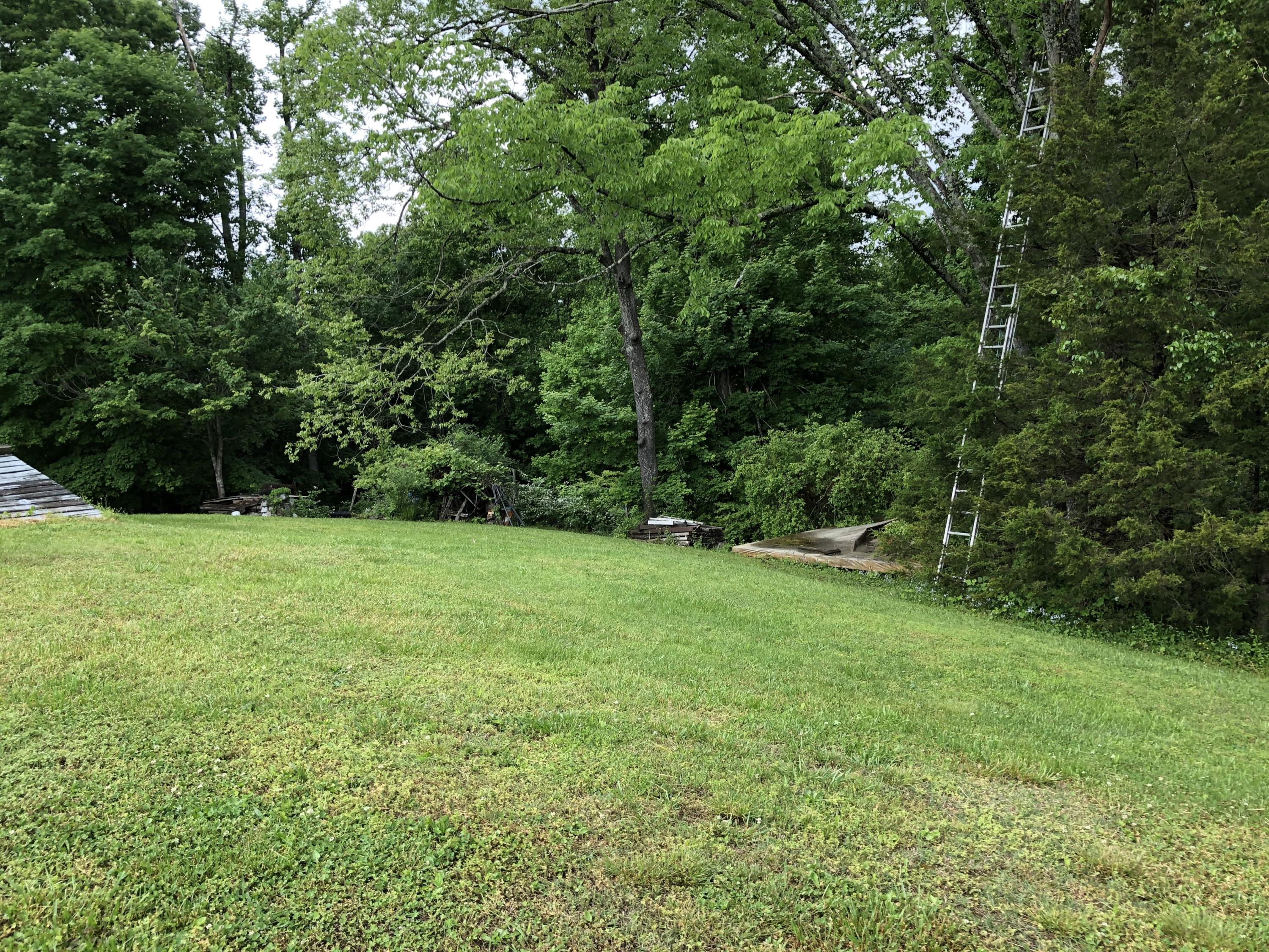 6617 Cate Road Powell, TN 37849 - Photo 5 of 10 Main House Back Yard