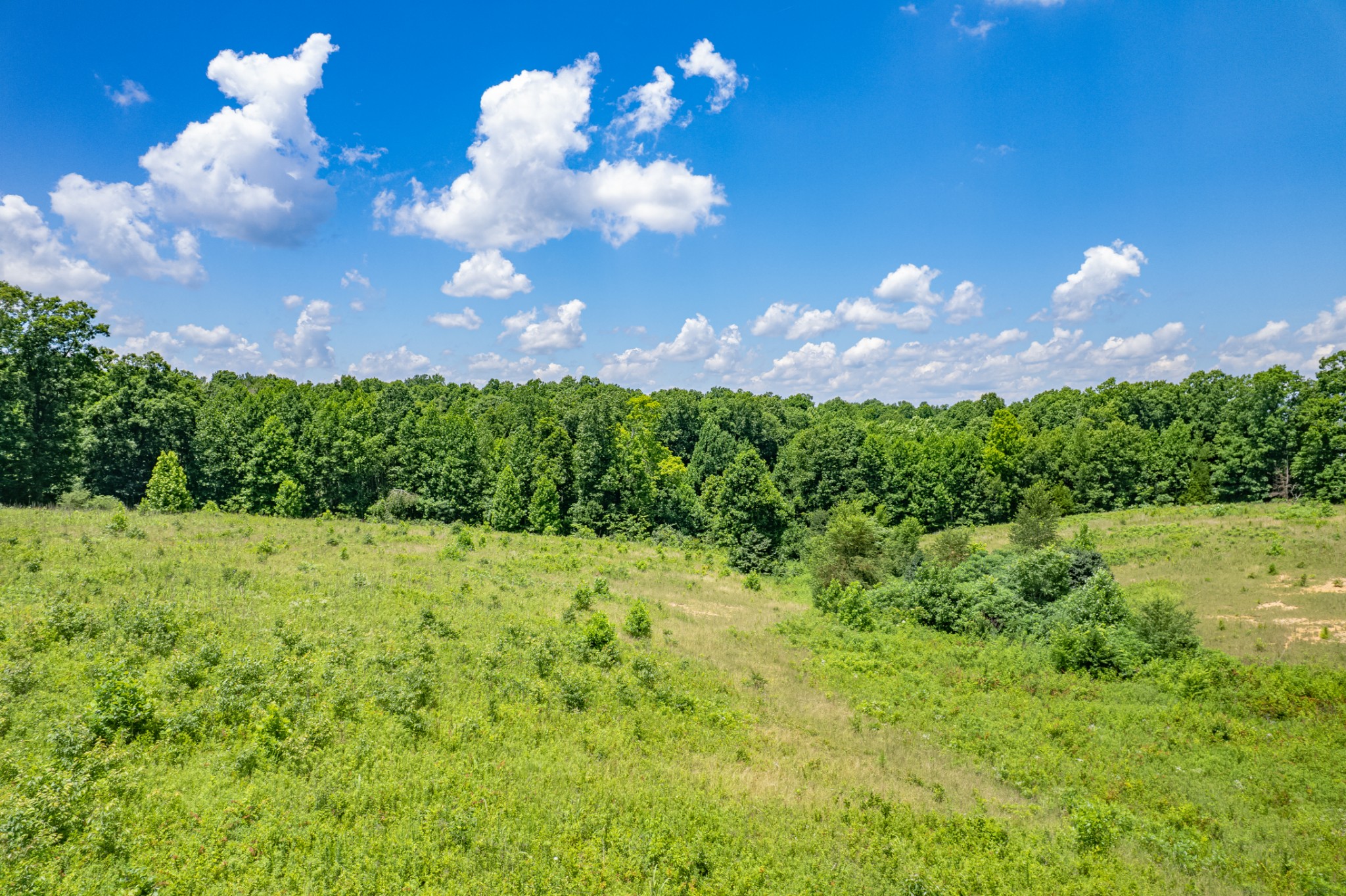 0 Mobley Ridge Road Duck River, TN 38454 - Photo 28 of 35 a view of a big yard with lots of green space