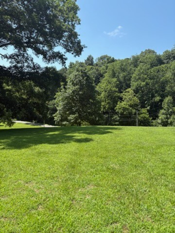 1134 Pee Dee Branch Road Cottontown, TN 37048 - Photo 3 of 46 Gallery Image 3