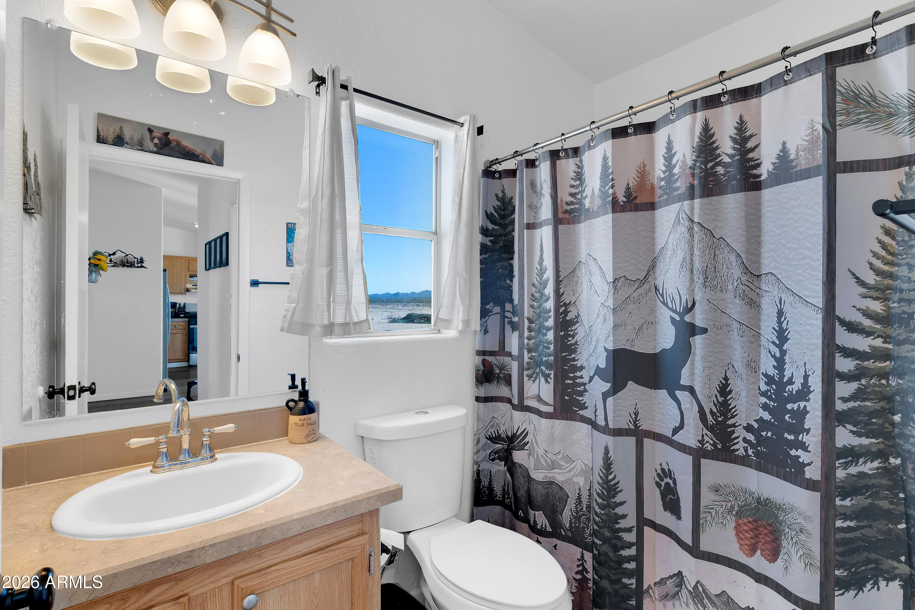 8902 Ghost Ranch Road Marana, AZ 85653 - Photo 13 of 28 a bathroom with a sink toilet and shower