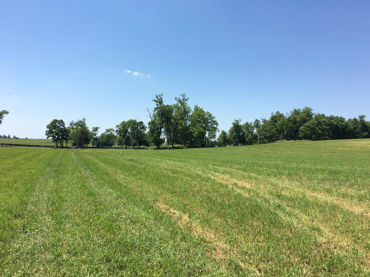 3268 Ironworks Road Georgetown, KY 40324 - Photo 18 of 23 Photo 18