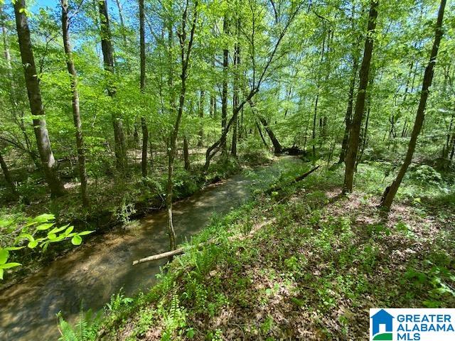 Mineral Springs Road, Unit 17 Pell City, AL 35125 - Photo 6 of 6