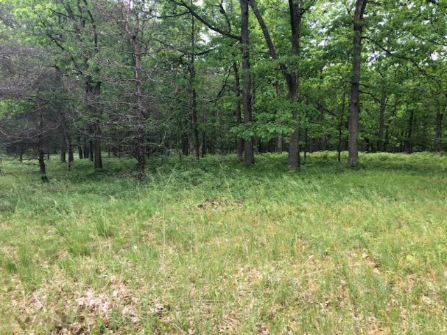 6659 Usfs Road Irons, MI 49644 - Photo 23 of 24