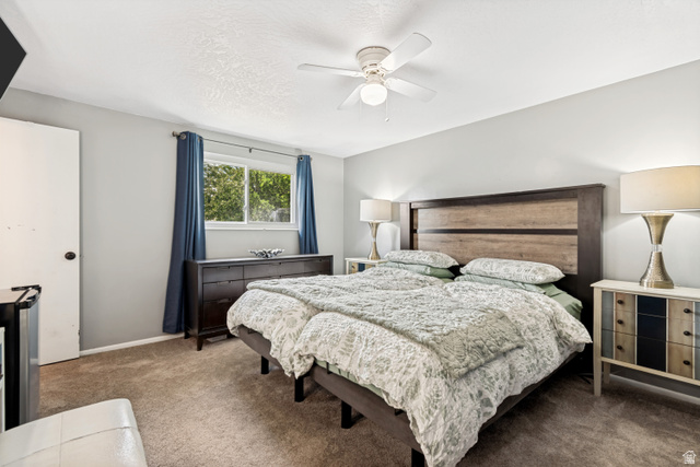 7222 Robin Way West Jordan, UT 84084 - Photo 9 of 32