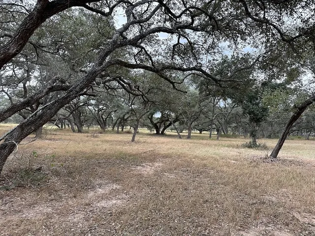 $249,000 | 1482 Ramsey Road, Alleyton, TX 78935