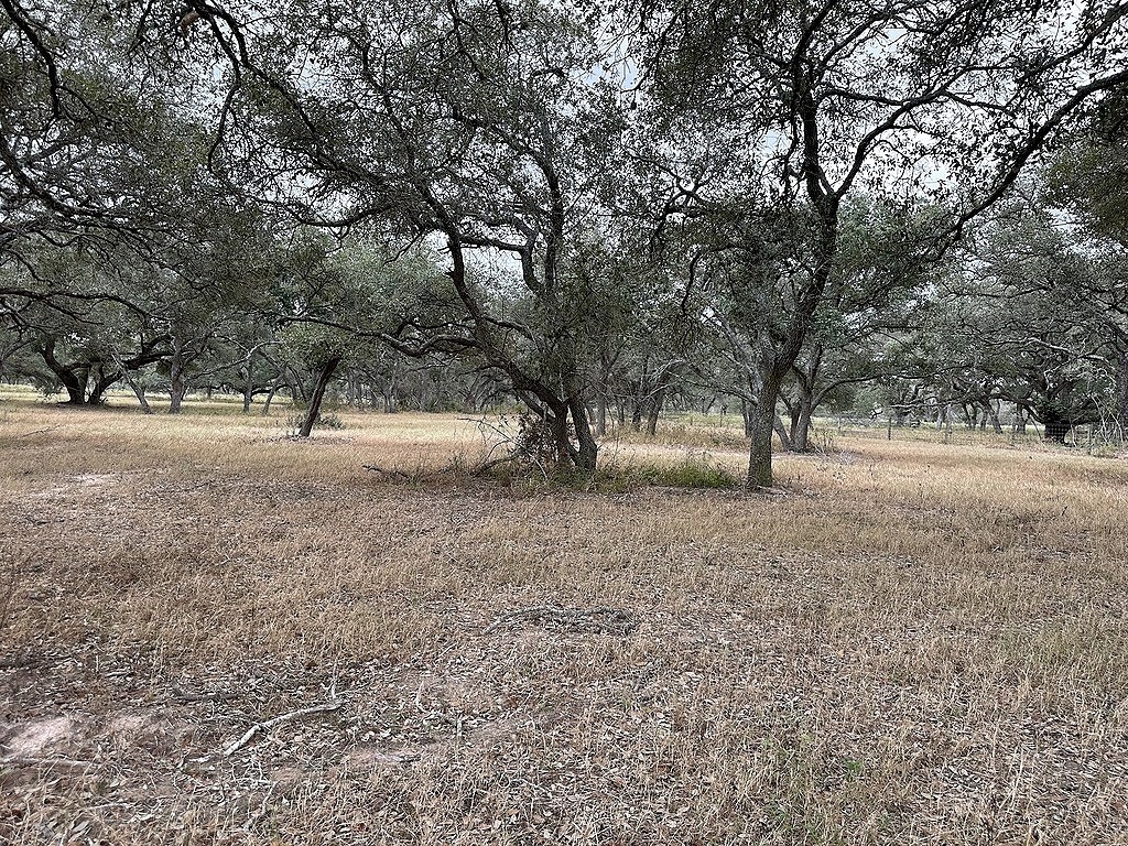 1482 Ramsey Road Alleyton, TX 78935 - Photo 6 of 6