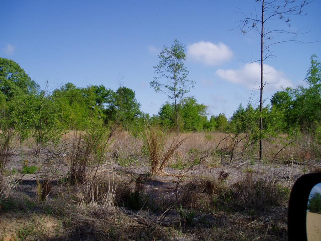 Lot 11 Shaws Fork Road Aiken, SC 29805 - Photo 1 of 1