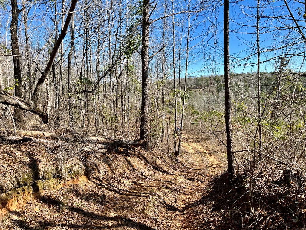 0 County Road 97 Abbeville, AL 36310 - Photo 12 of 53