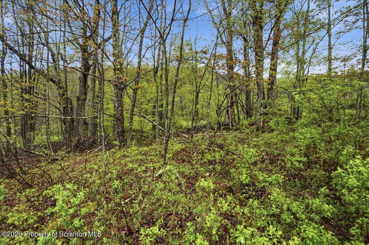 Wildenberg Rd Union Dale Union Dale, PA 18470 - Photo 12 of 19 Land