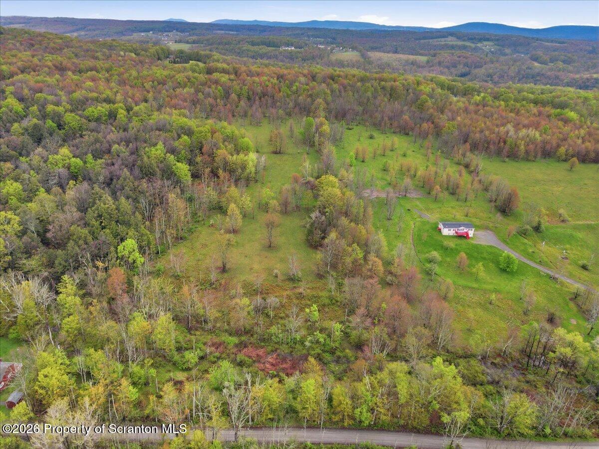 Wildenberg Rd Union Dale Union Dale, PA 18470 - Photo 13 of 19 Aerial View