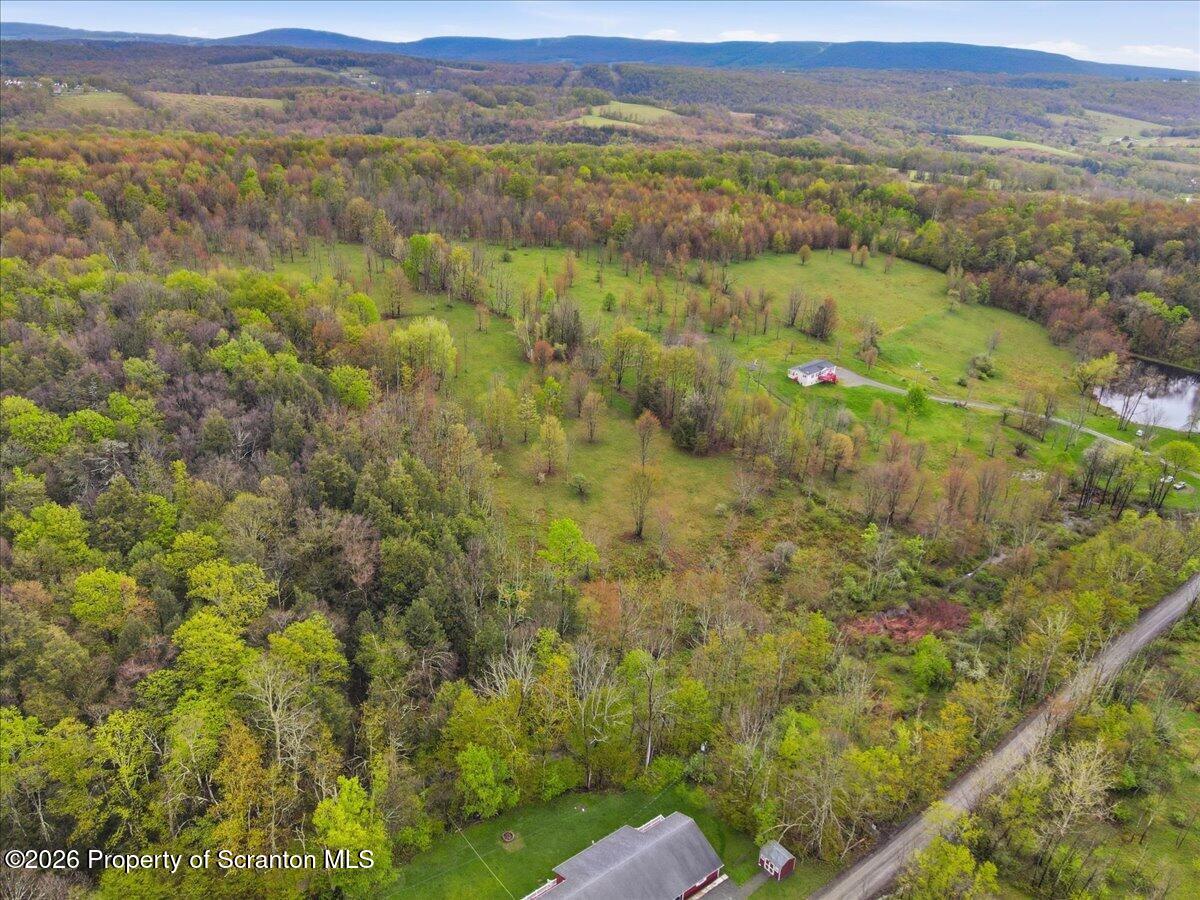 Wildenberg Rd Union Dale Union Dale, PA 18470 - Photo 14 of 19 Aerial View