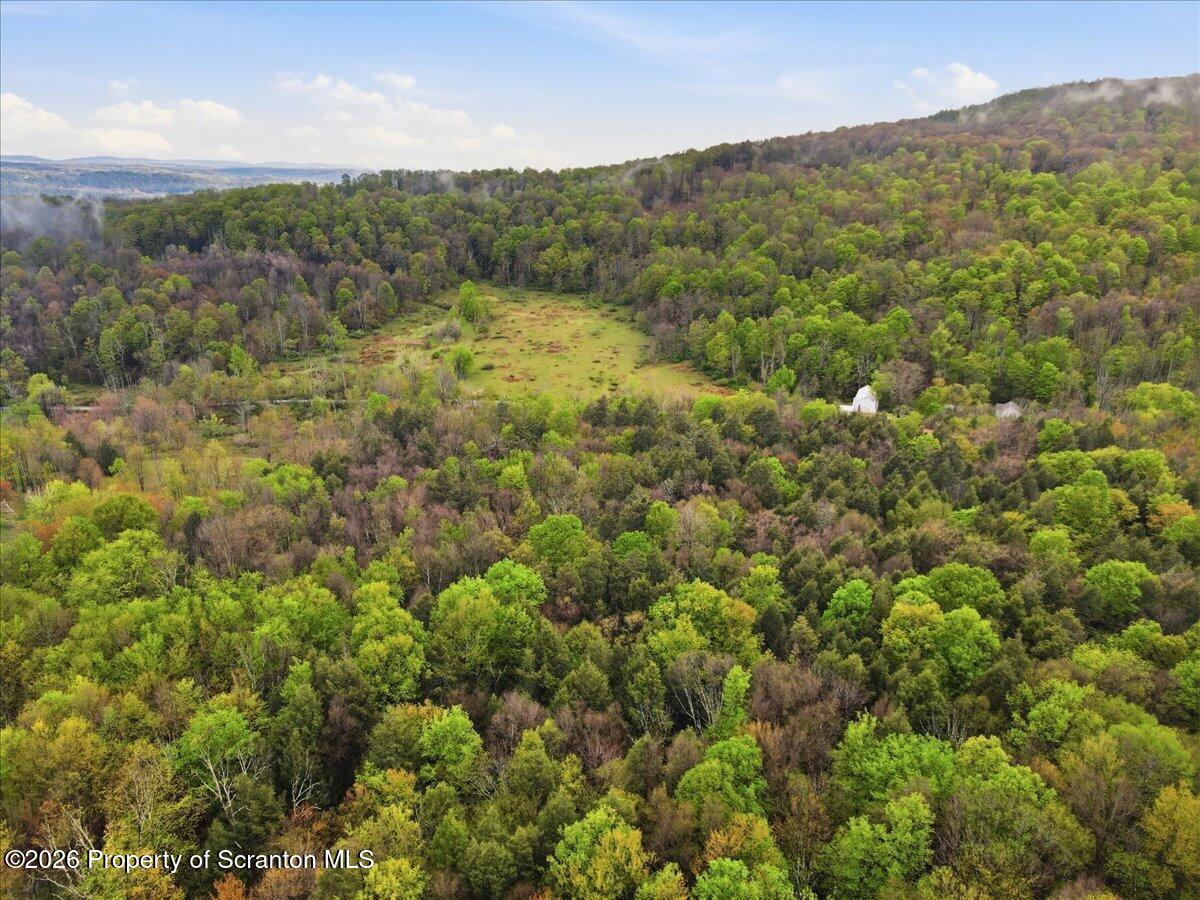 Wildenberg Rd Union Dale Union Dale, PA 18470 - Photo 16 of 19 Aerial View