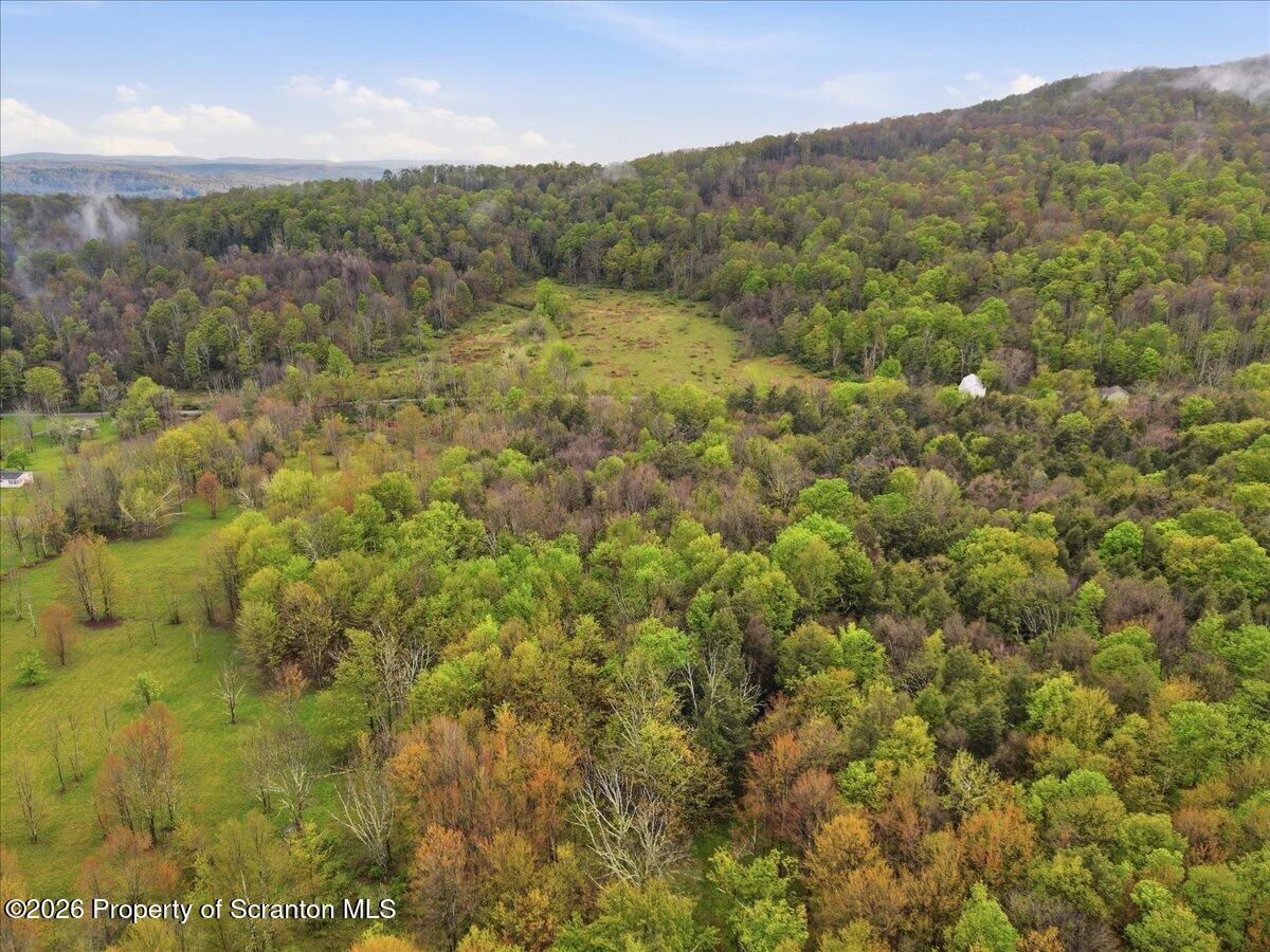 Wildenberg Rd Union Dale Union Dale, PA 18470 - Photo 17 of 19 Aerial View