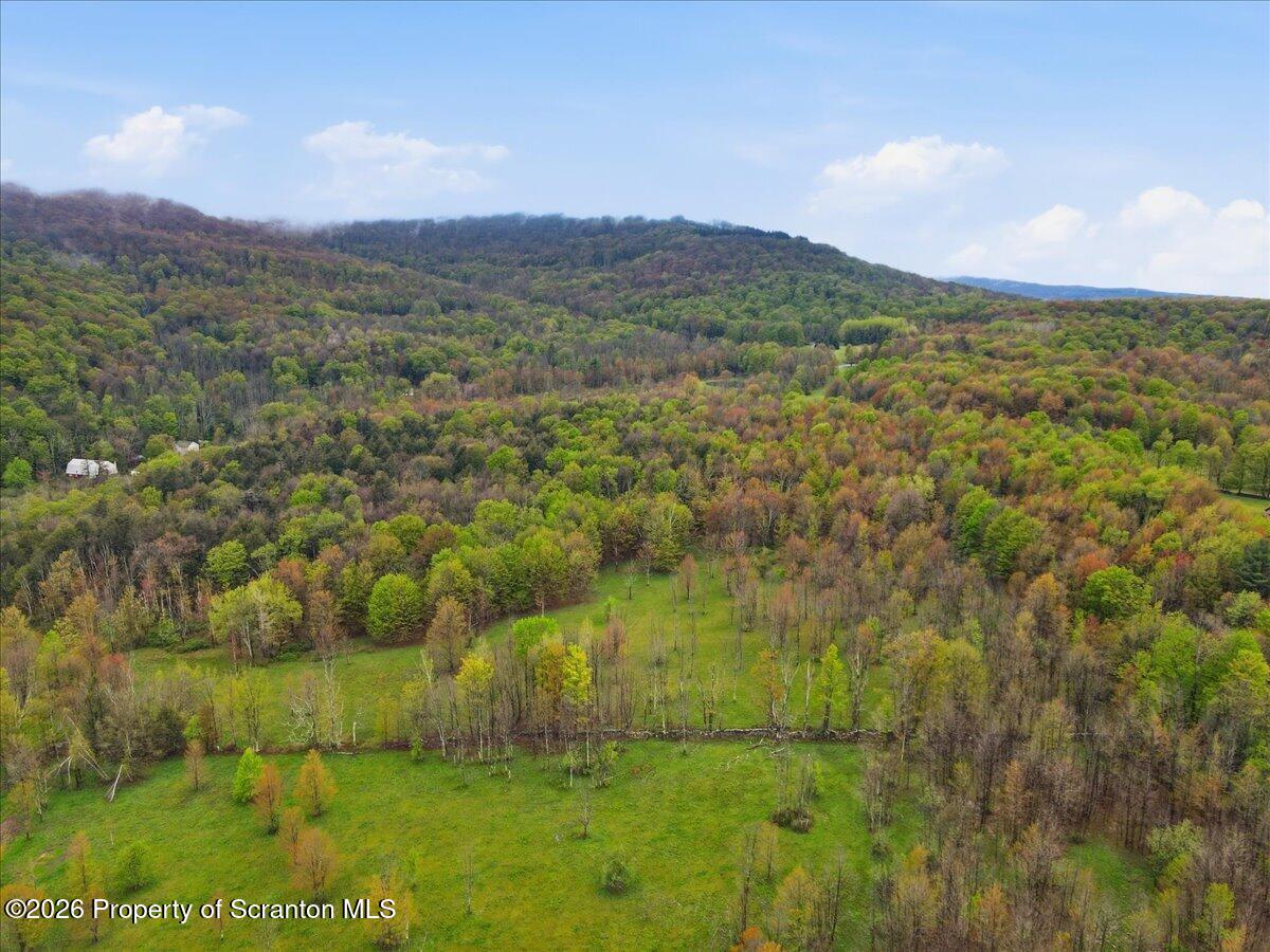 Wildenberg Rd Union Dale Union Dale, PA 18470 - Photo 18 of 19 Aerial View