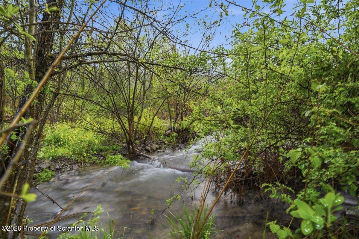 Stream