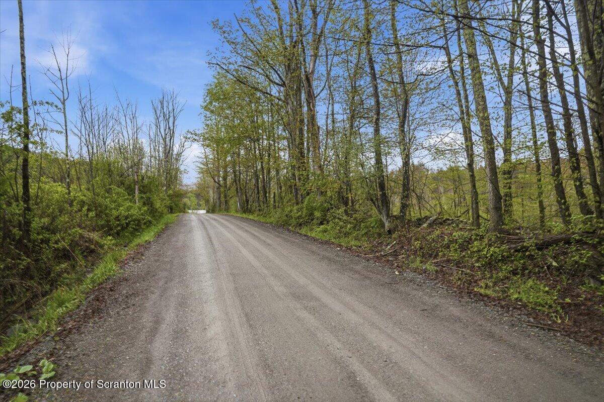 Dirt Road Views