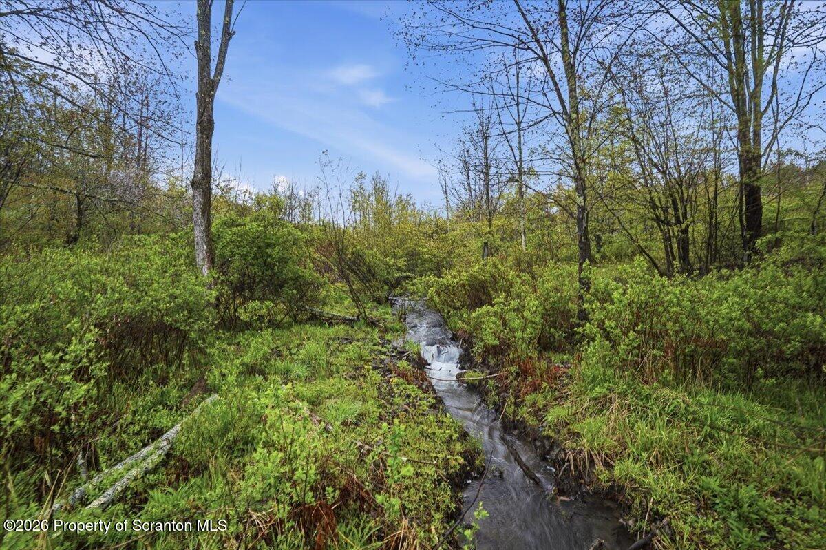 Wildenberg Rd Union Dale Union Dale, PA 18470 - Photo 8 of 19 Stream