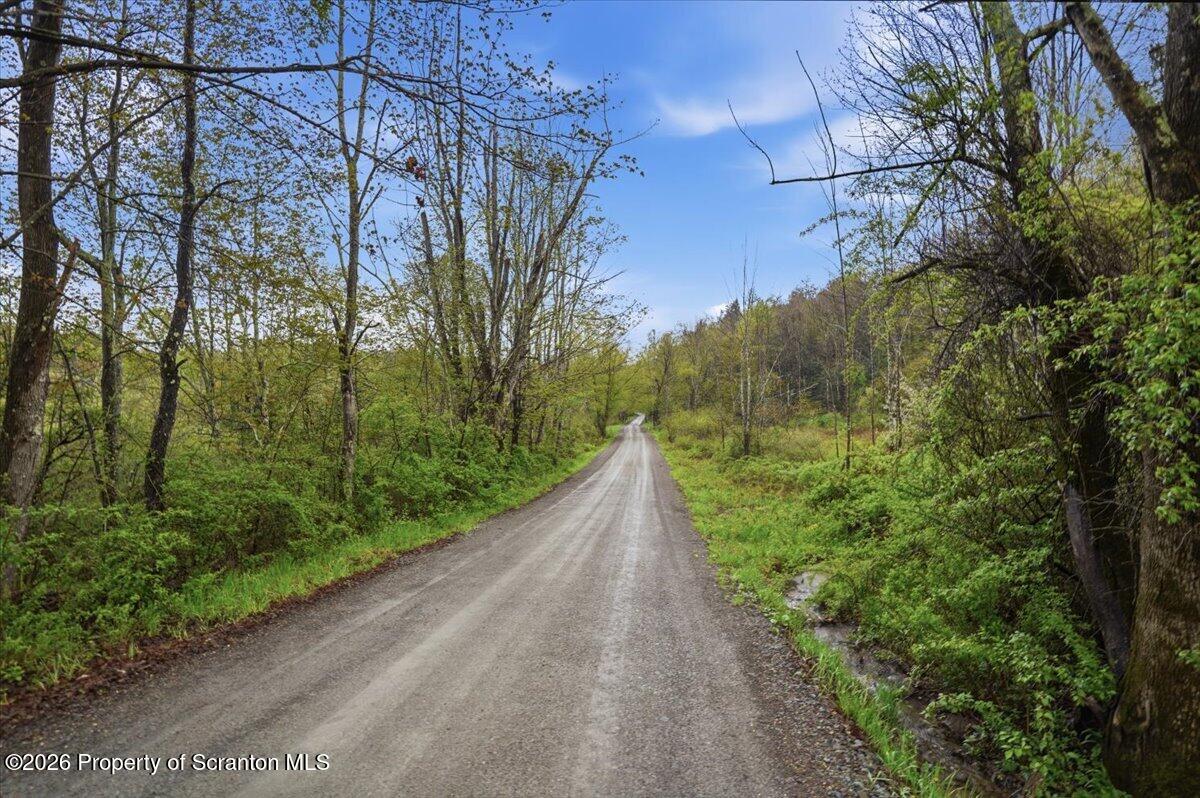 Wildenberg Rd Union Dale Union Dale, PA 18470 - Photo 10 of 19 Dirt Road Views