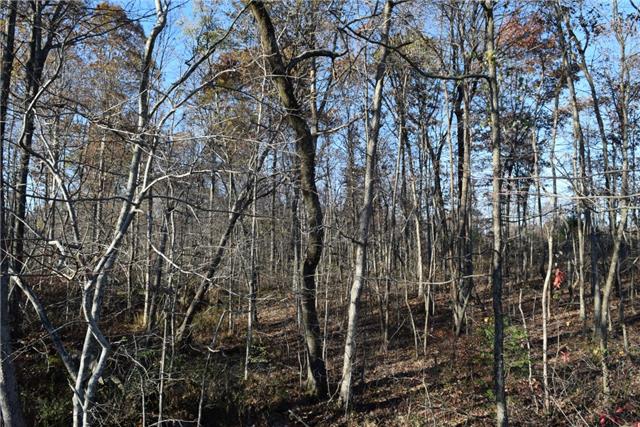 700 Frontier Road Altamont, TN 37301 - Photo 3 of 11 Gallery Image 3