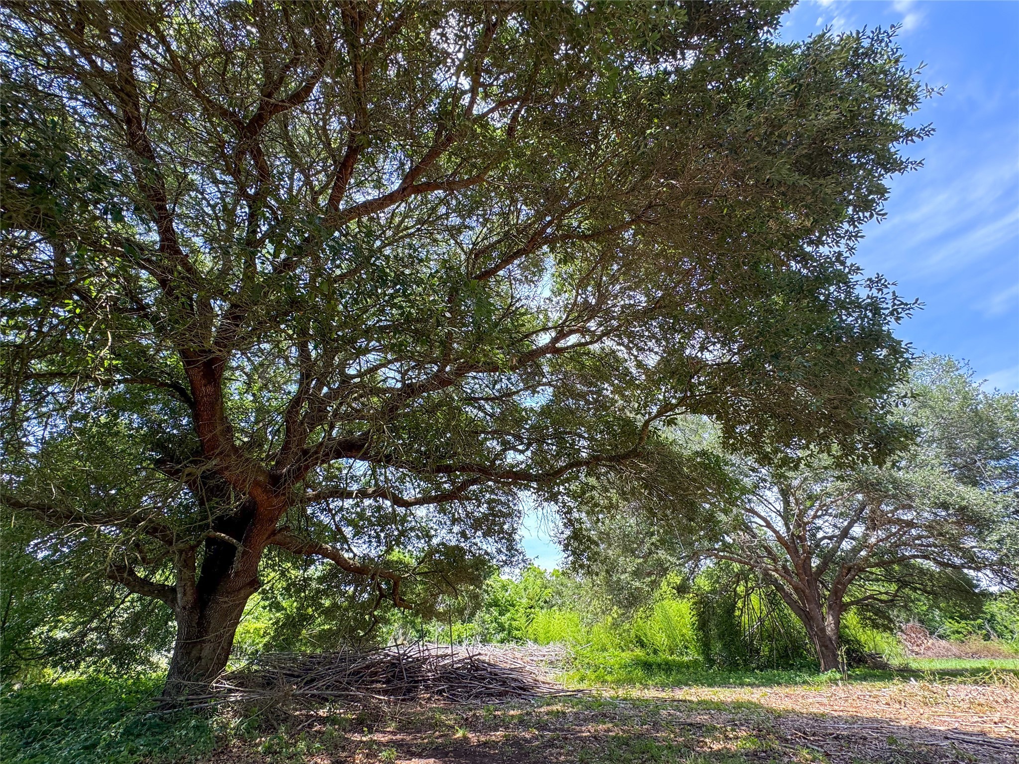 403 Fern Lane Wharton, TX 77488 - Photo 18 of 28