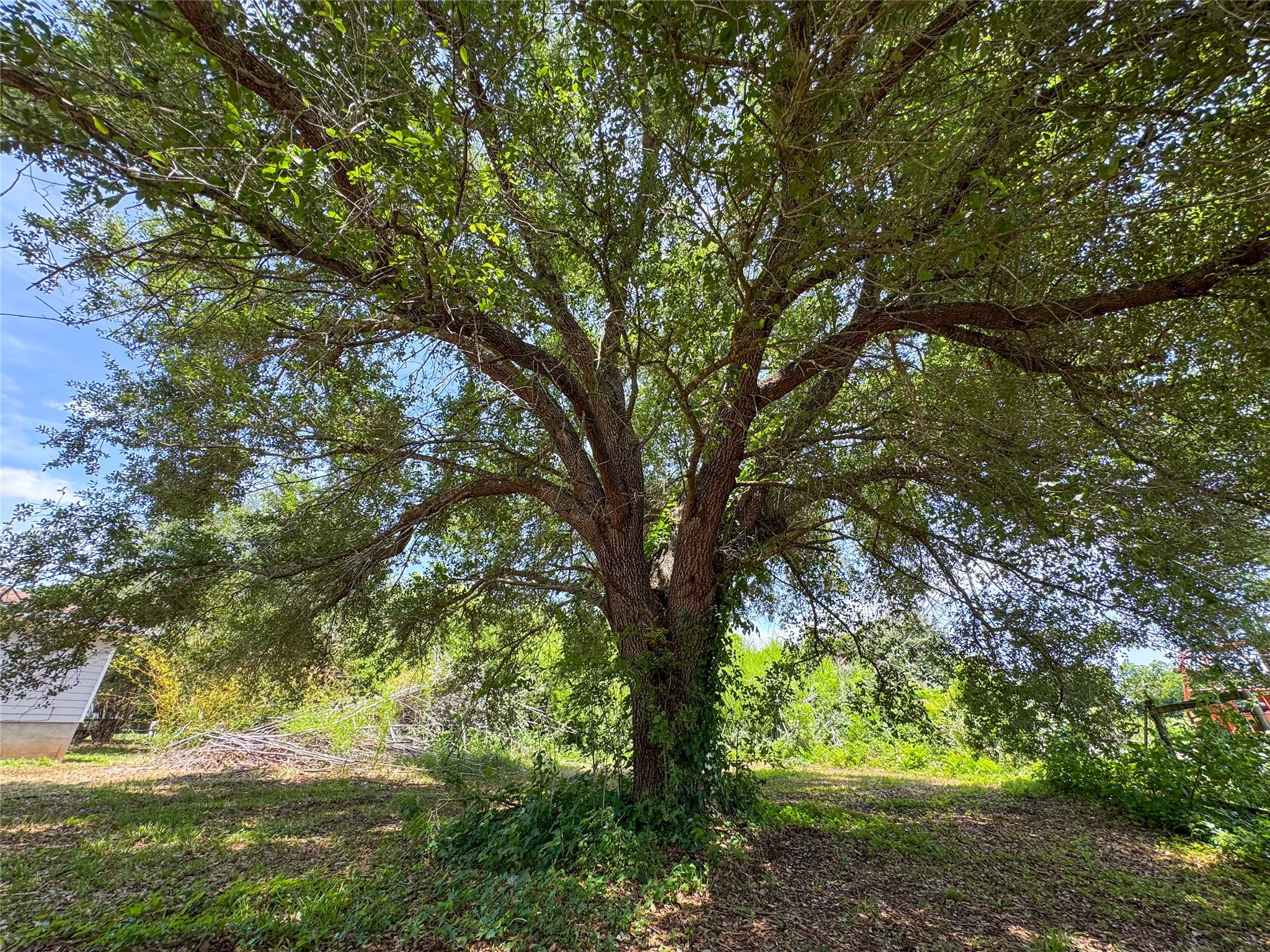 403 Fern Lane Wharton, TX 77488 - Photo 19 of 28
