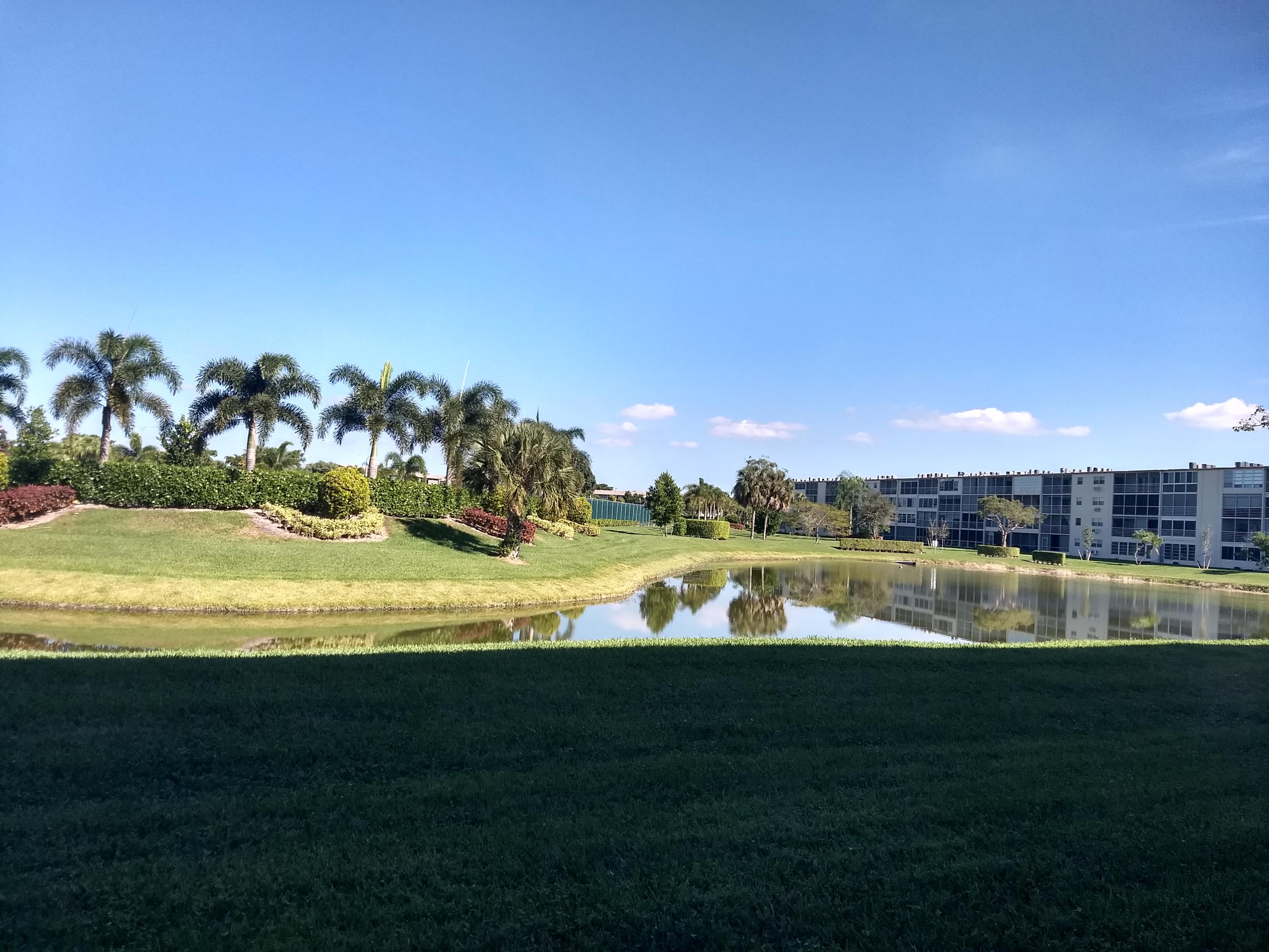 Relaxing Patio View