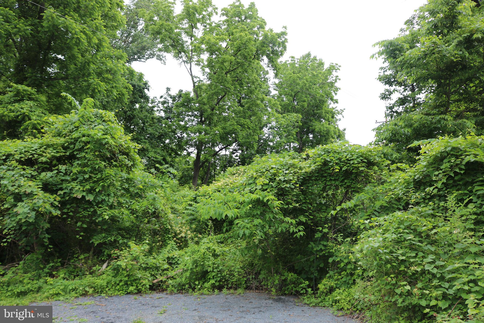 Lot #2 Montclair Road Gettysburg, PA 17325 - Photo 9 of 15