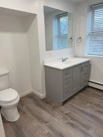 a bathroom with a sink and a toilet