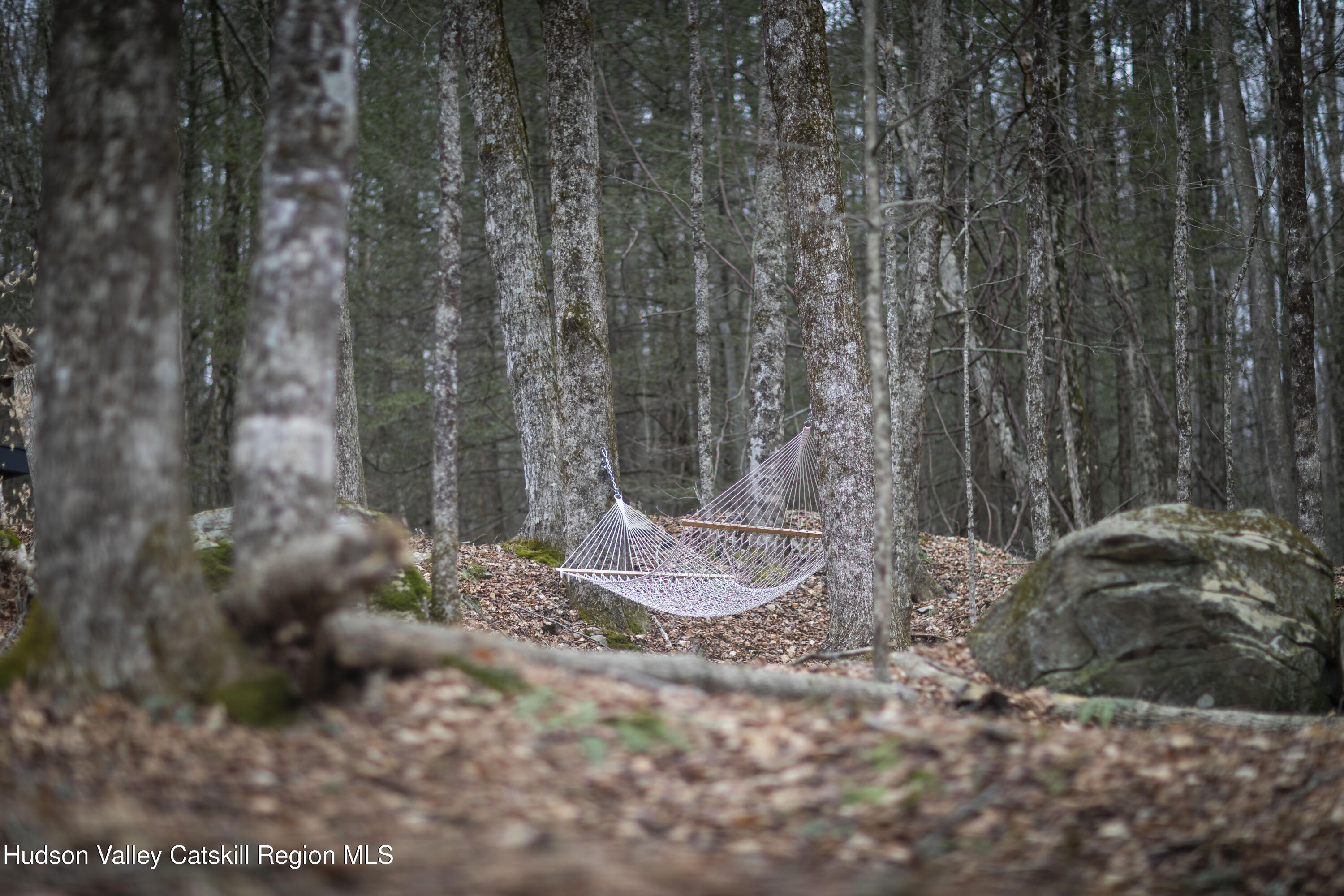 44 Smith Lane Grahamsville, NY 12740 - Photo 33 of 34 a backyard of a house with a large tree
