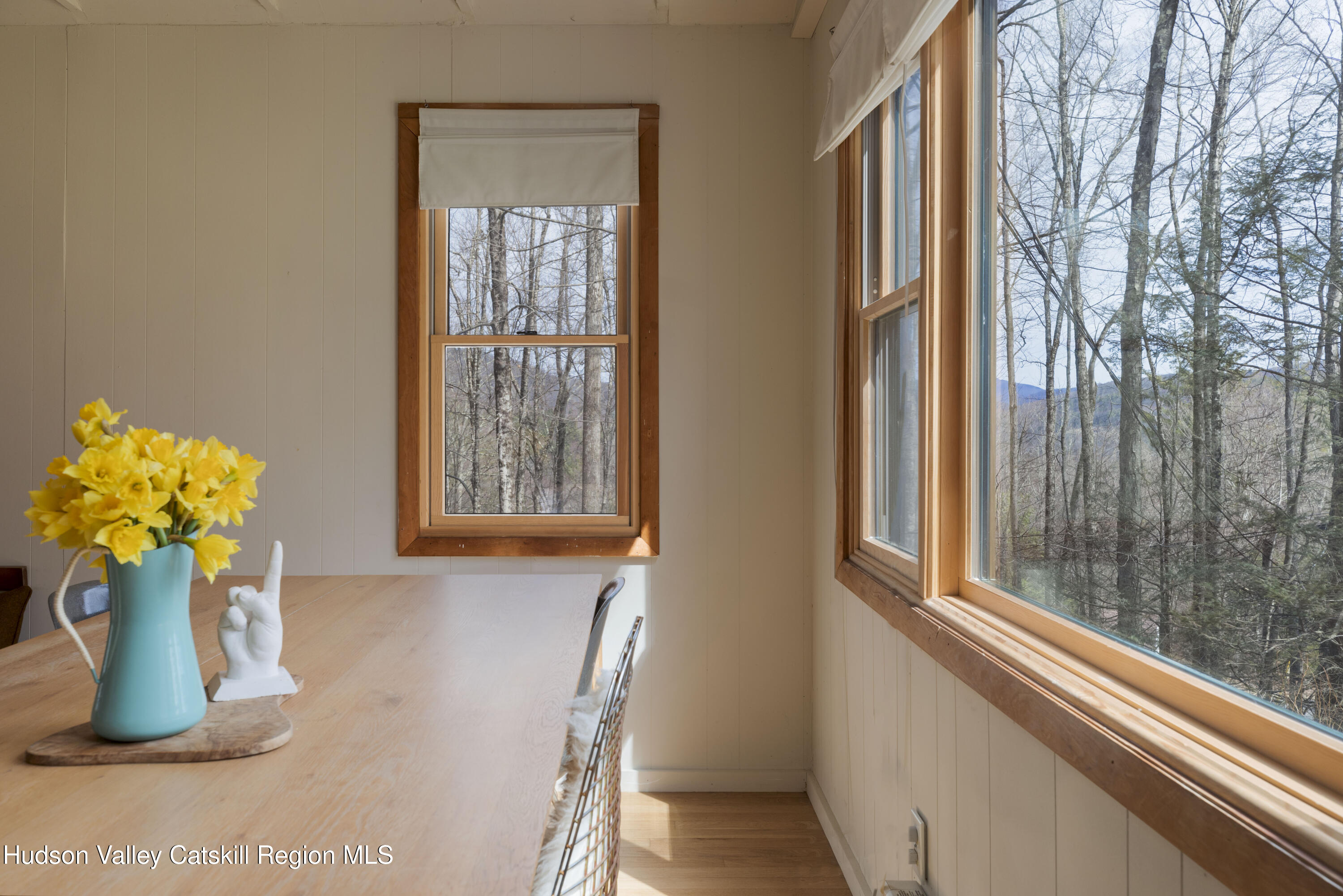 44 Smith Lane Grahamsville, NY 12740 - Photo 10 of 34 a view of a potted plant sitting in front of a window