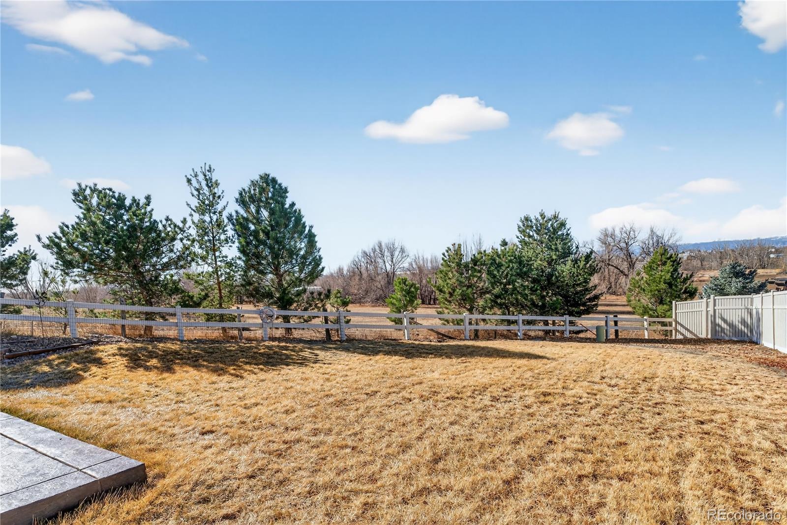 10180 Audrey Street Firestone, CO 80504 - Photo 37 of 46