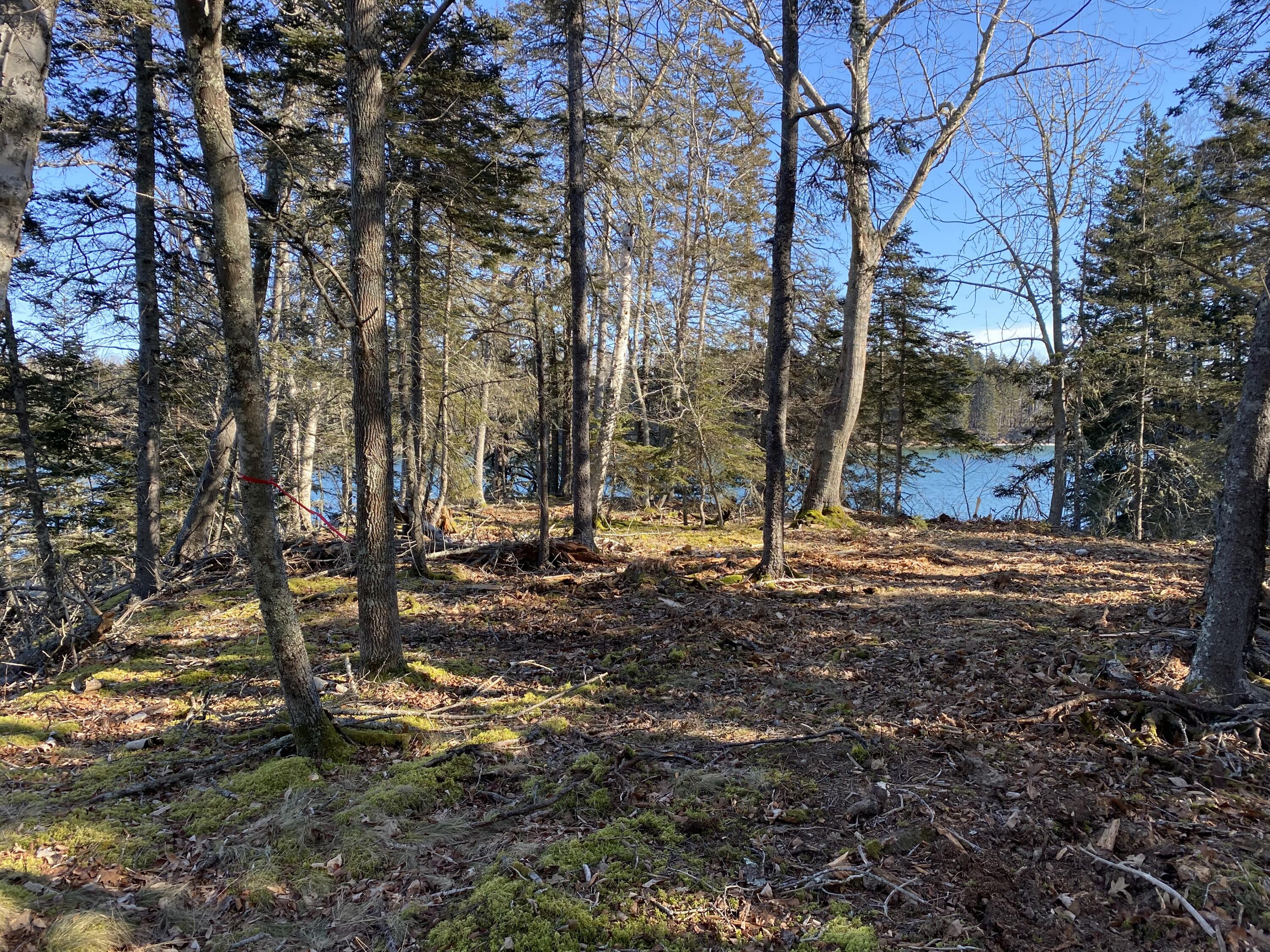 0 West Bay Road Islesboro, ME 04848 - Photo 54 of 60 Building site
