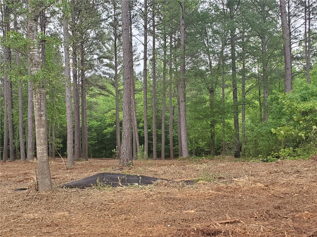 Lot 64 Harbor Point Seneca, SC 29672 - Photo 1 of 3 Gallery Image 1