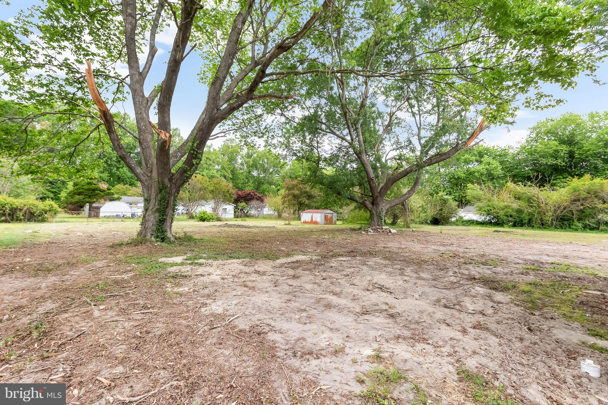 30536 Bennett Road Salisbury, MD 21804 - Photo 26 of 27 Spacious lot with mature trees.